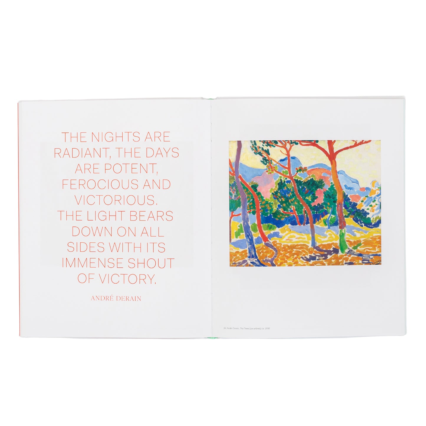 Vertigo of Colour: Matisse, Derain, and the Origins of Fauvism