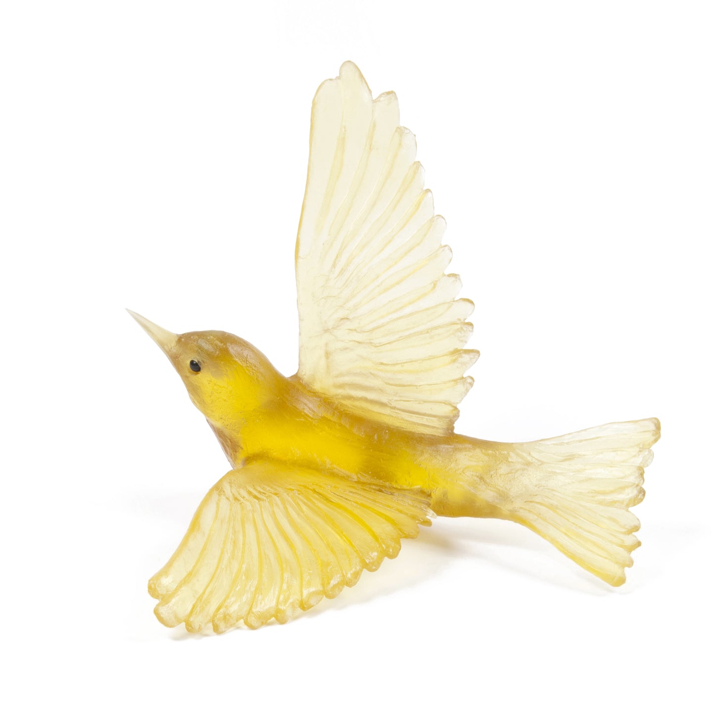 Luke Jacomb Glass Tauhou | Waxeye Chardonnay