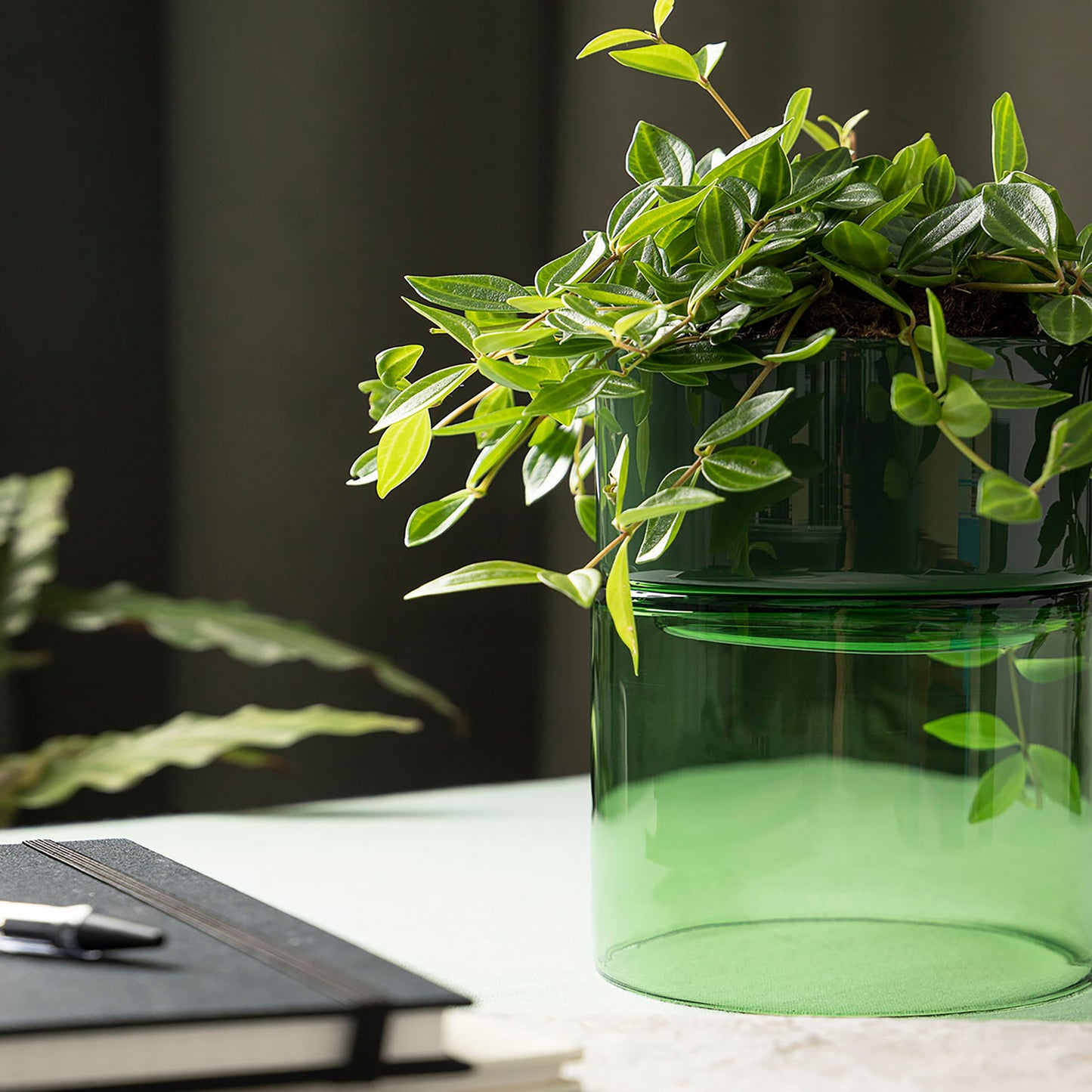 Telegram Wide Flip Planter
