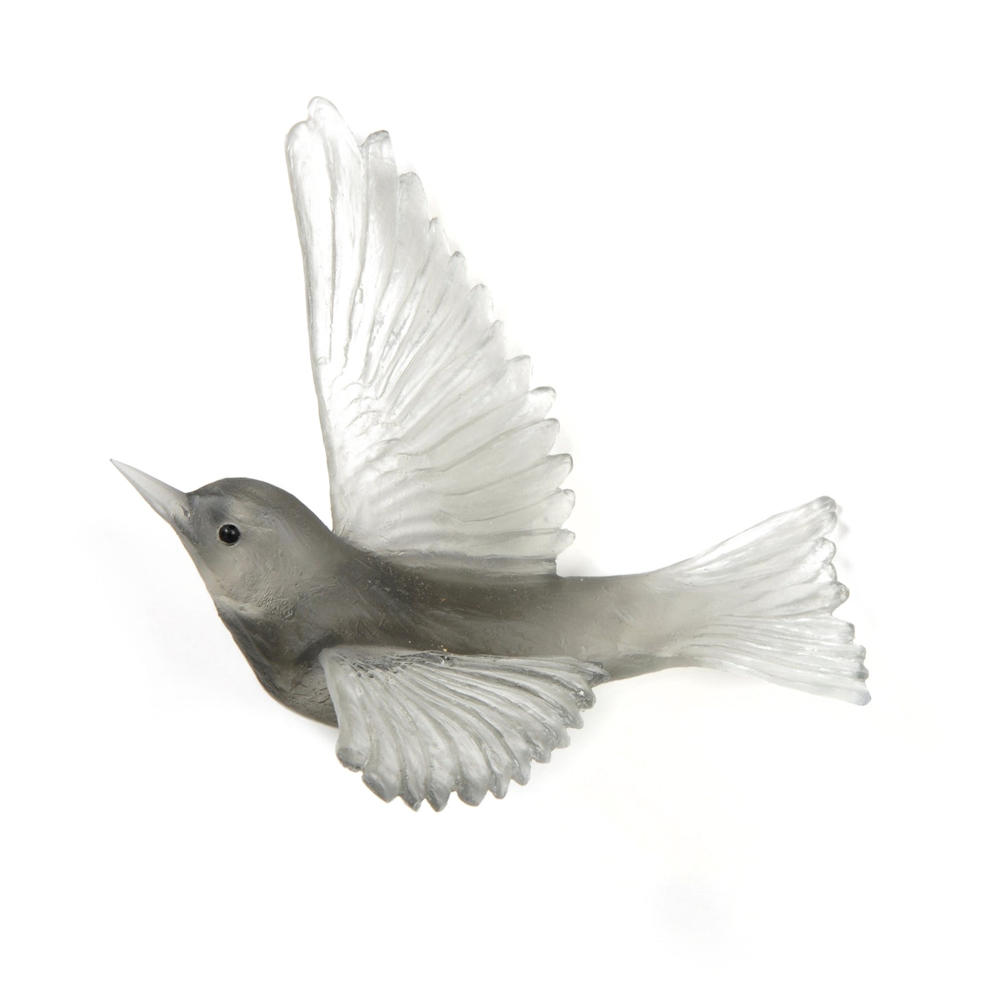 Pale Grey Wax Eye Glass Bird