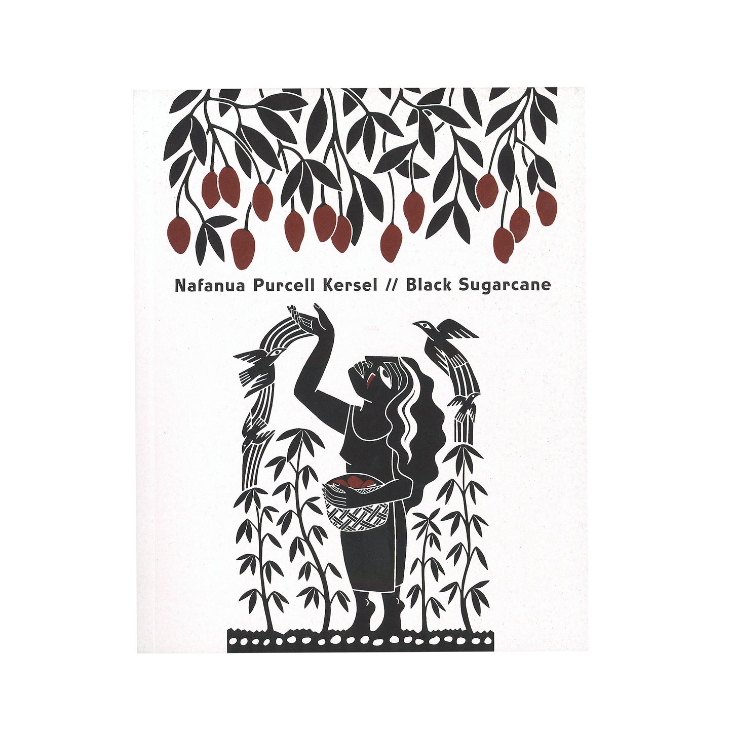 Black Sugarcane