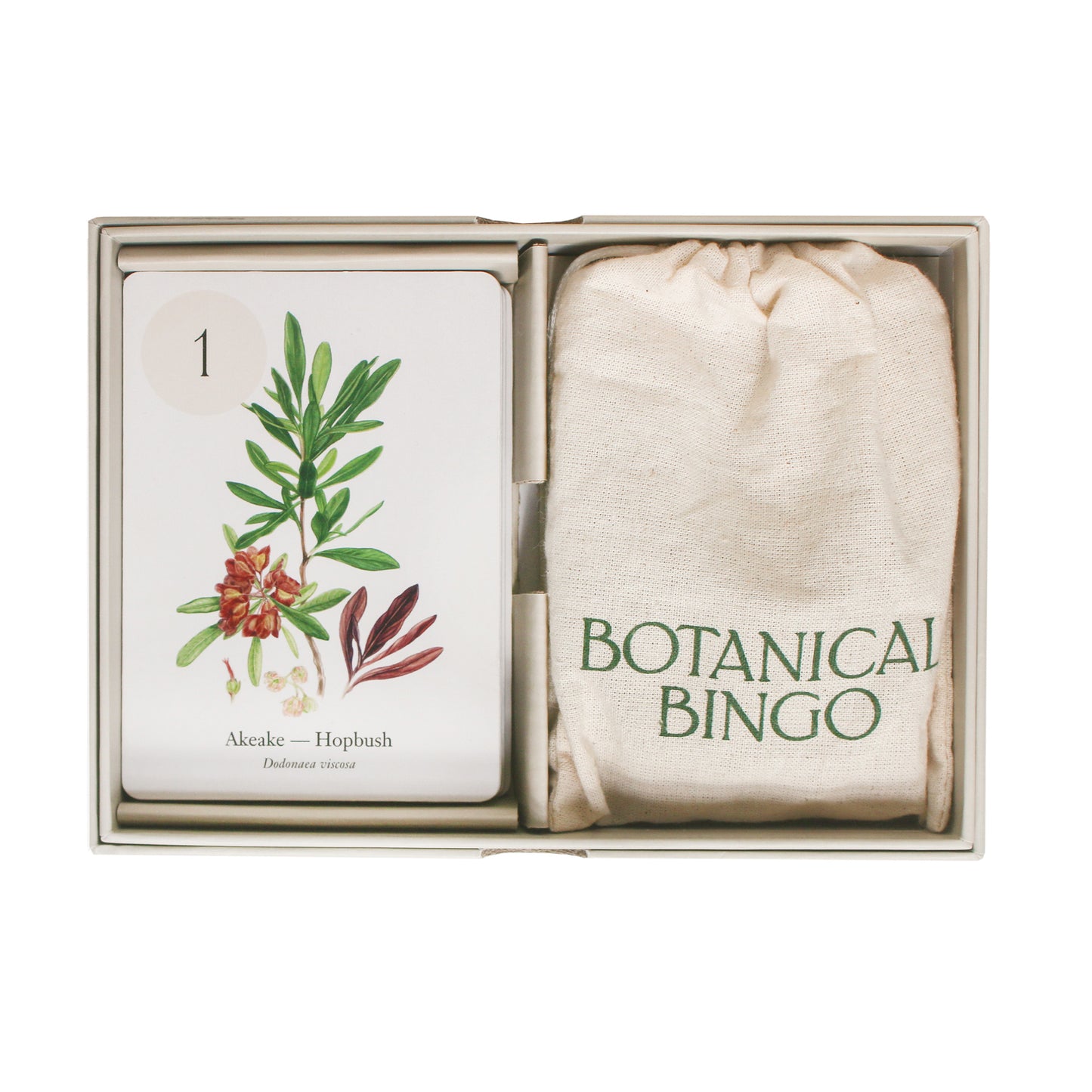 Botanical Bingo