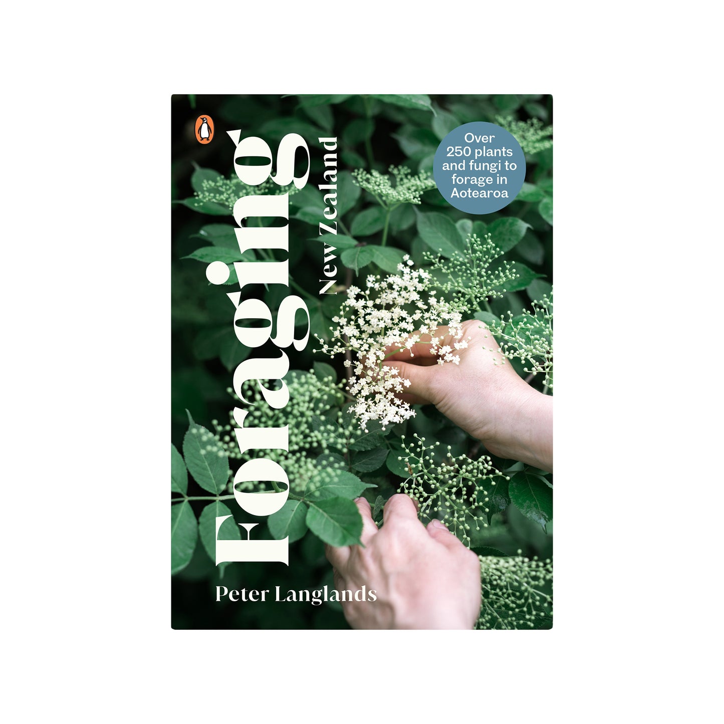 Foraging New Zealand