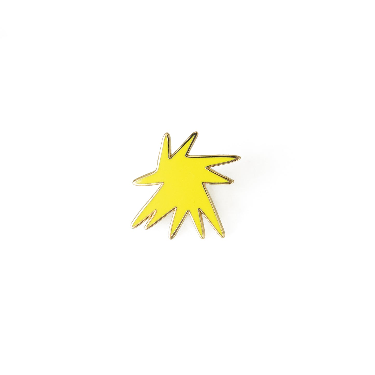 Sophie Store Matisse Star Pin