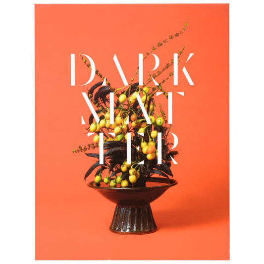 Ann Shelton: Dark Matter