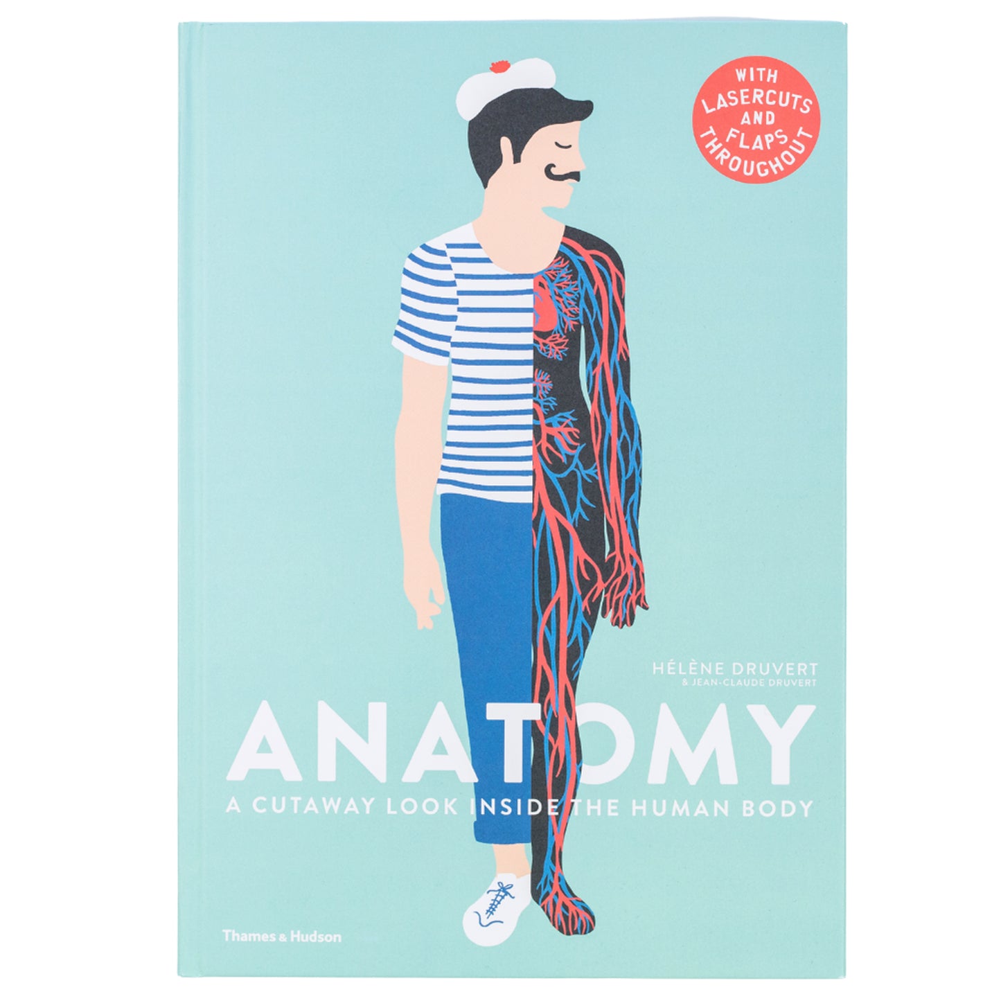 Anatomy : A Cutaway Look Inside the Human Body