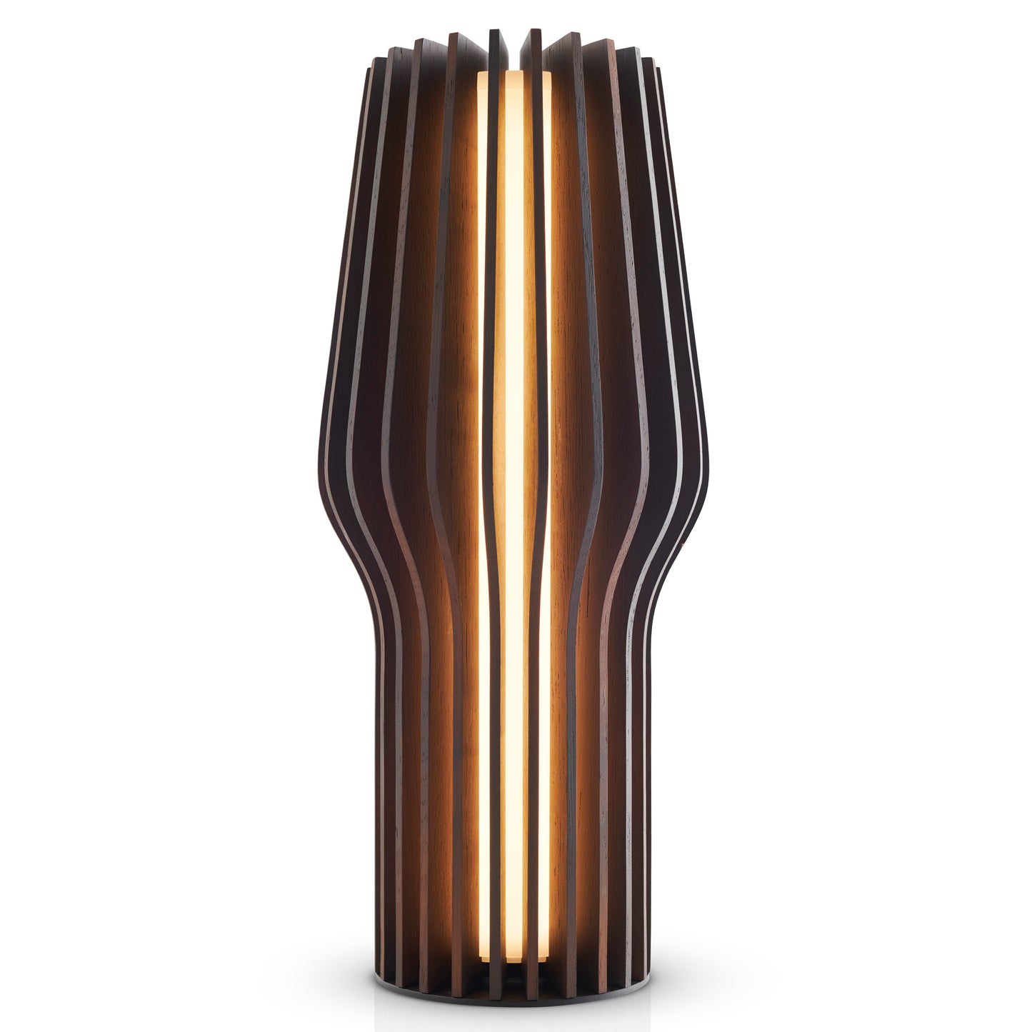 Rechargeable Table Lamp