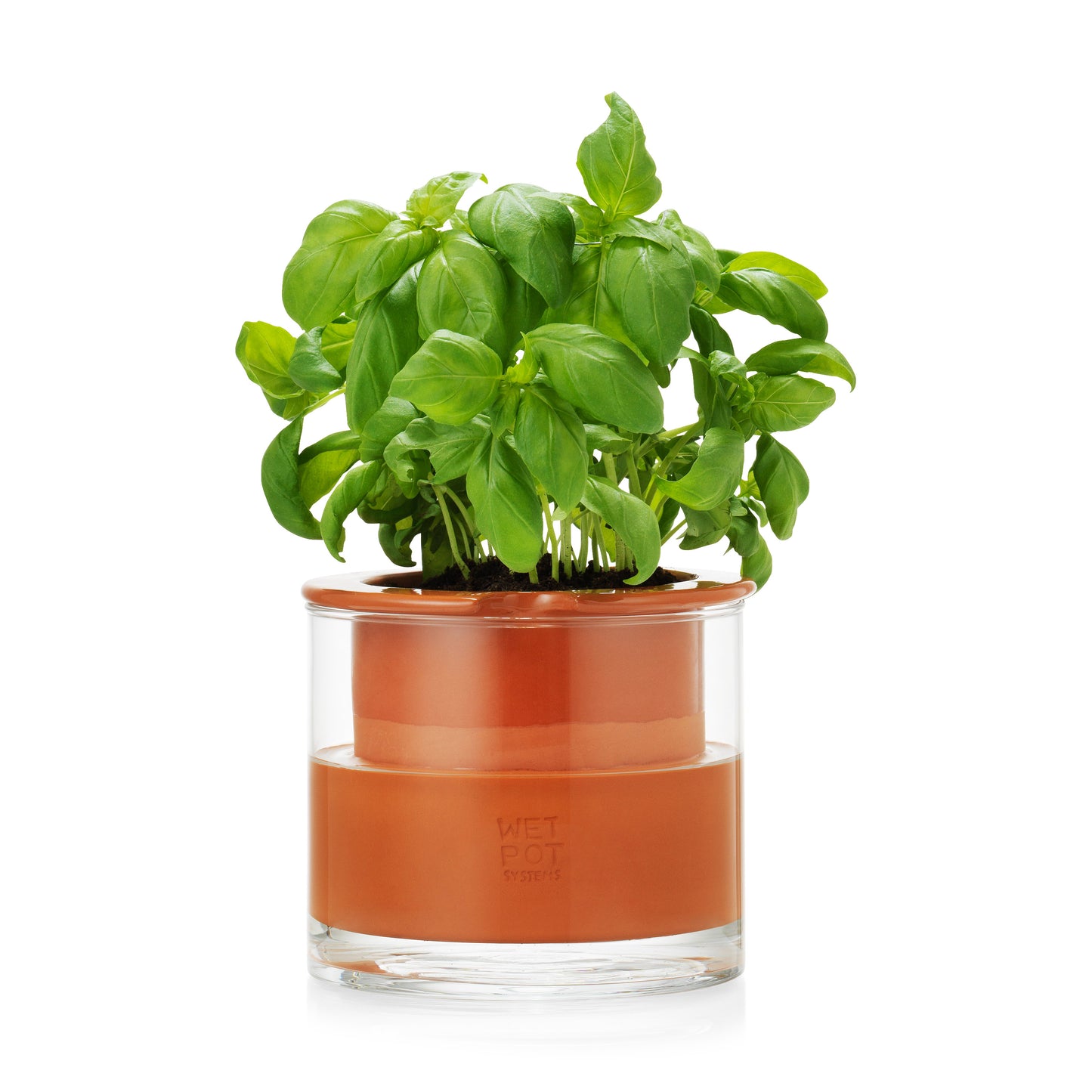 MoMA Self-Watering Pots