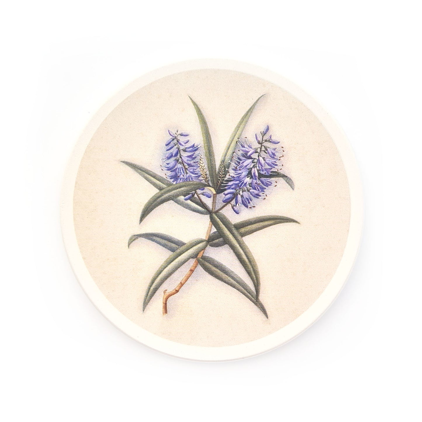Fanny Osborne Ceramic Coasters