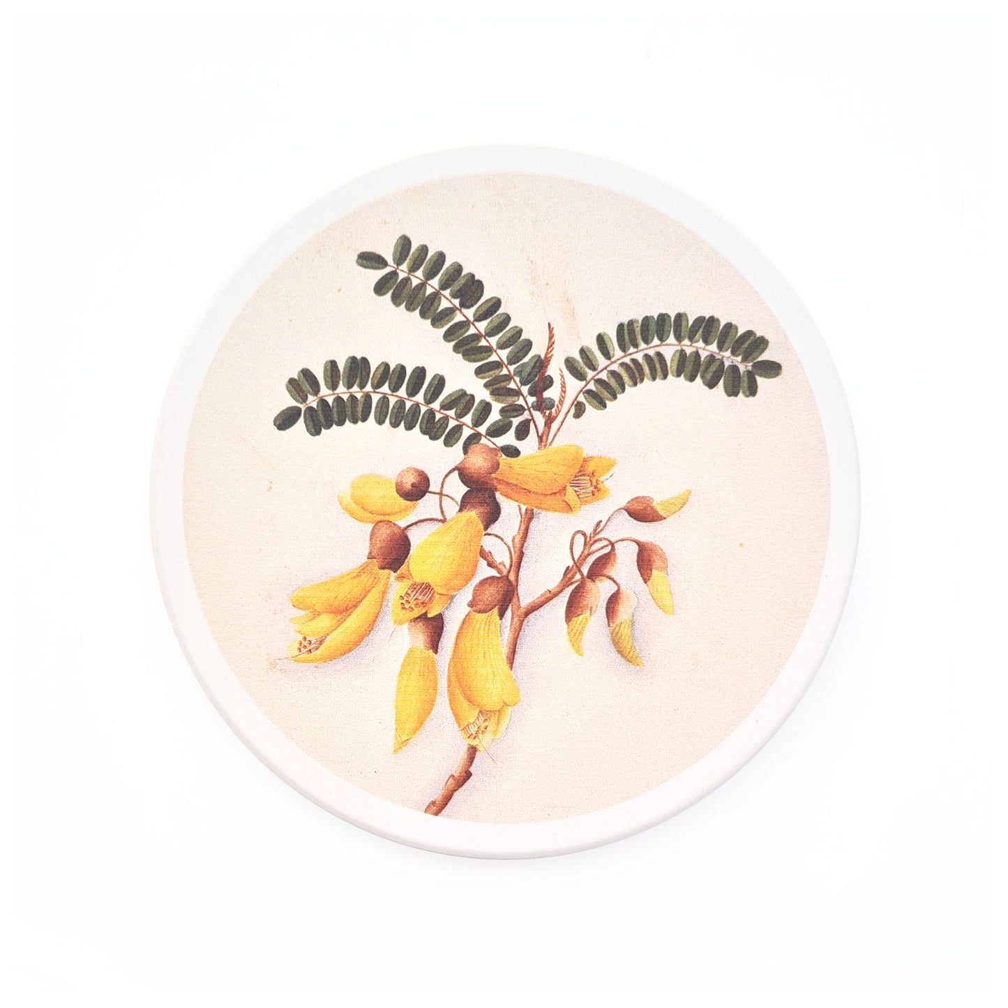 Fanny Osborne Ceramic Coasters