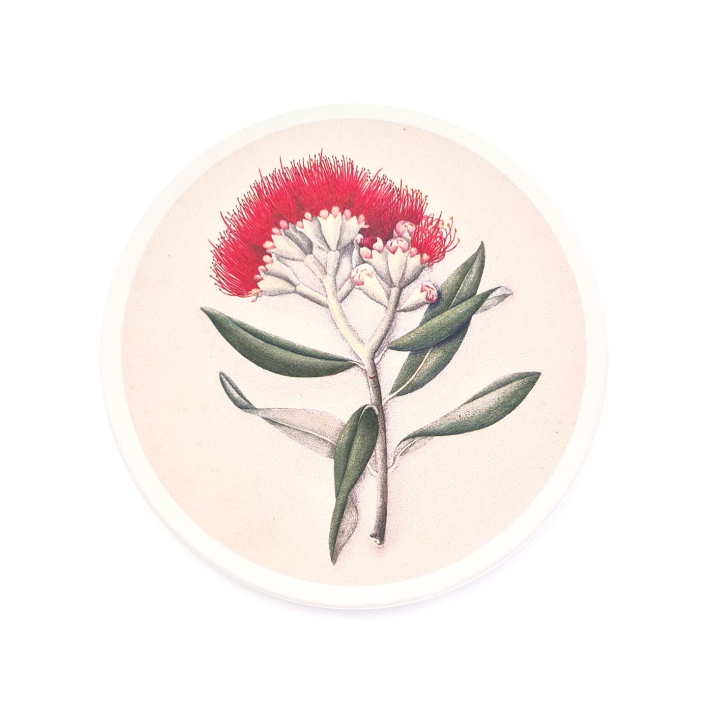 Fanny Osborne Ceramic Coasters