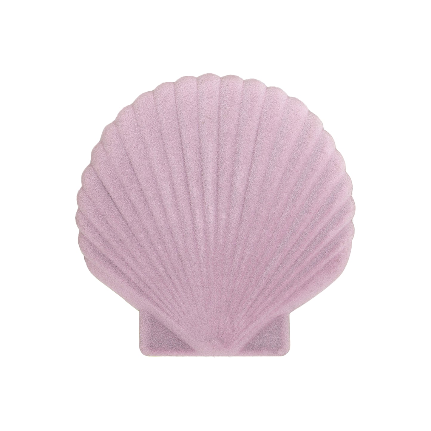 Shell Jewellery Box