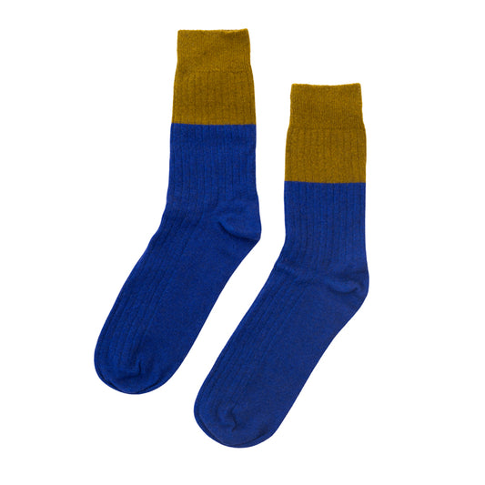 Nooan Dunedin Royal Blue & Ecru Socks