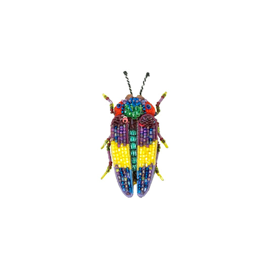 Jewel Beetle Brooch