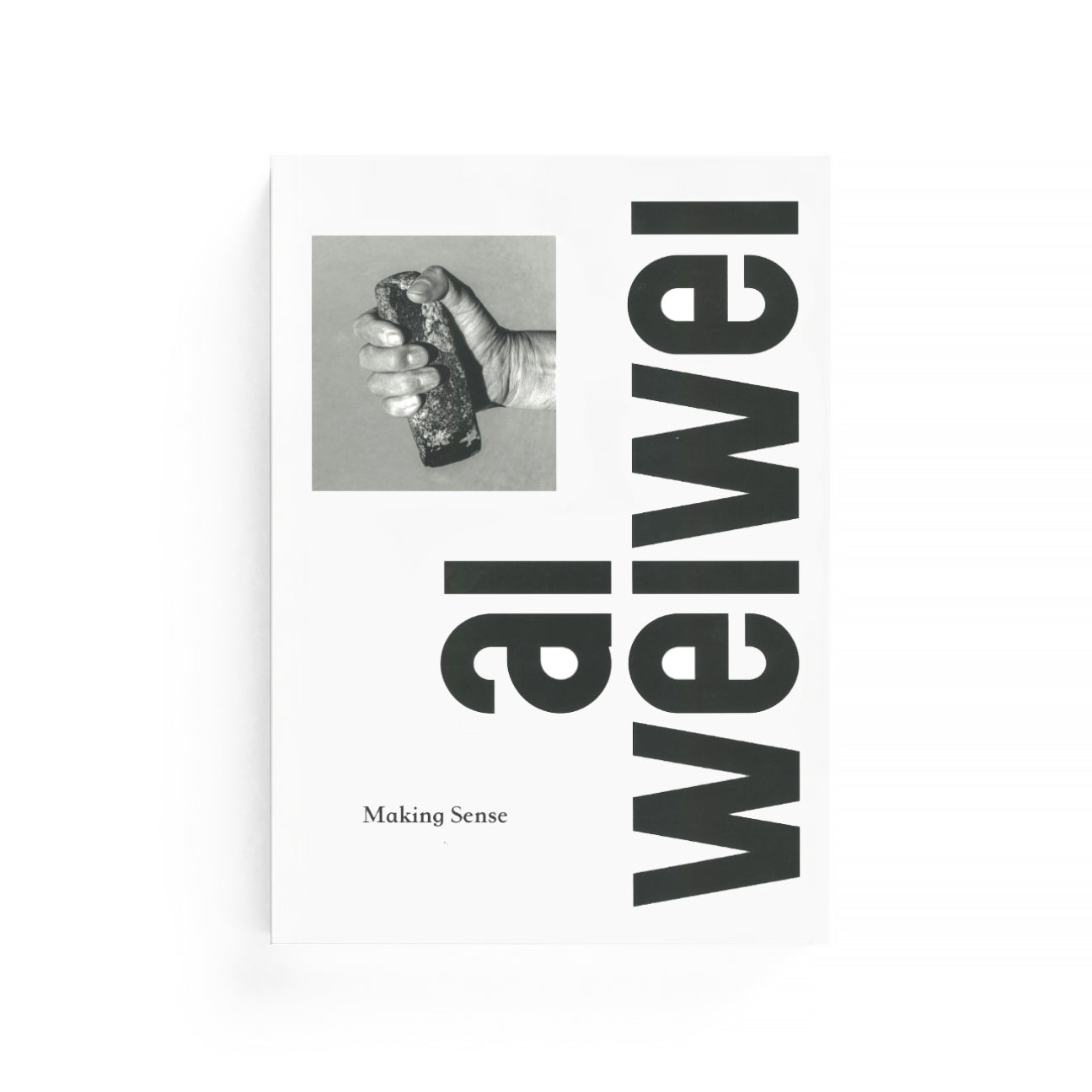 Ai Weiwei: Making Sense