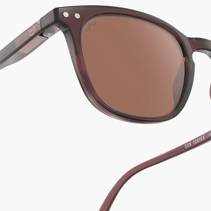 Izipizi Sunglasses #E Old Leather