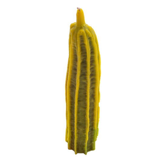 Poppy & Sage Luffa Gourd Candle