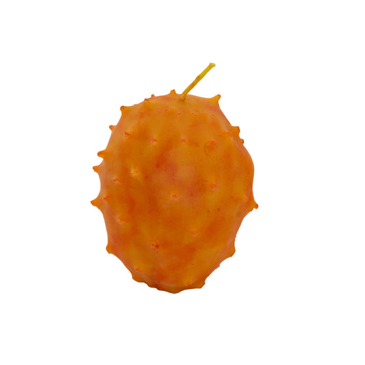 Poppy & Sage Kiwano Candle