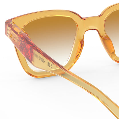 Golden Canyon Sunglasses Style ROAD