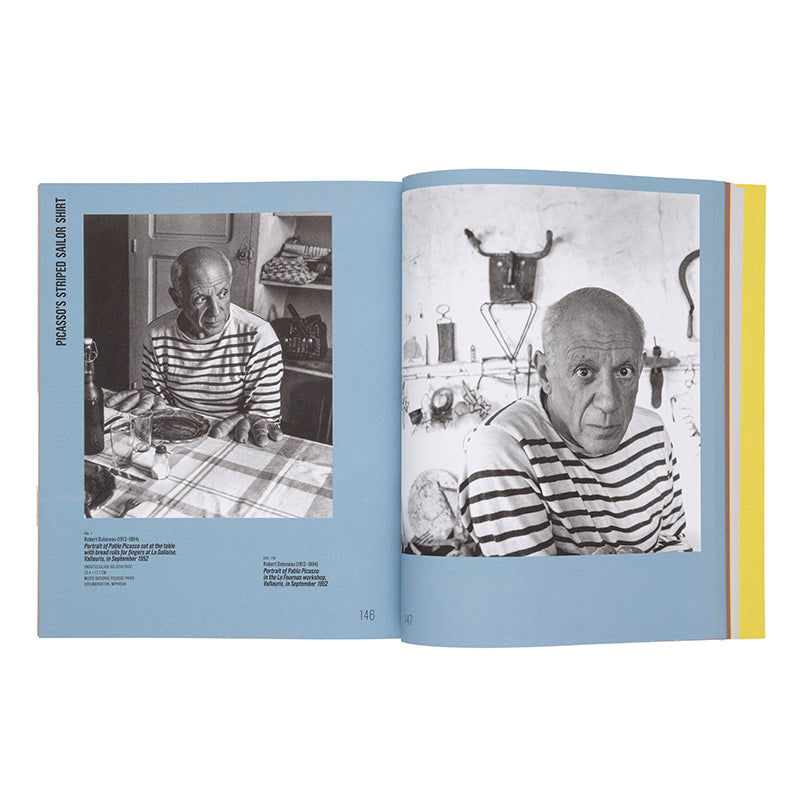 Picasso Catalogue: The Collection in a New Light!