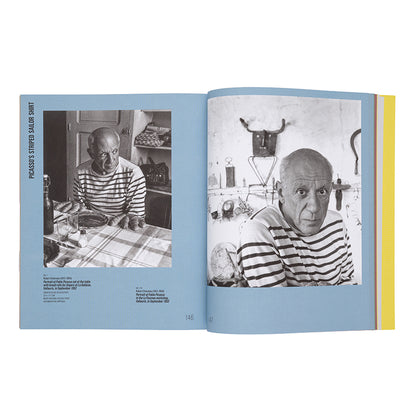 Picasso Catalogue: The Collection in a New Light!