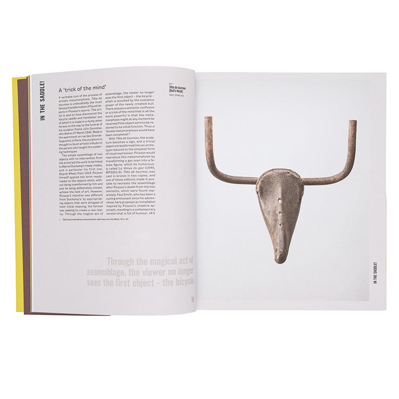 Picasso Catalogue: The Collection in a New Light!