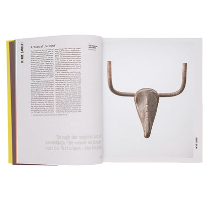 Picasso Catalogue: The Collection in a New Light!