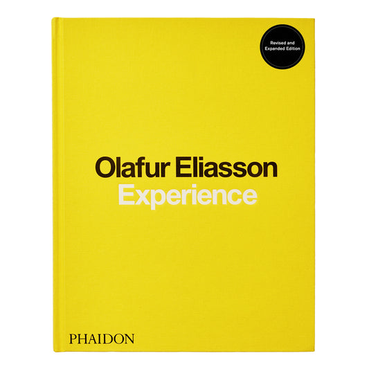 Olafur Eliasson: Experience