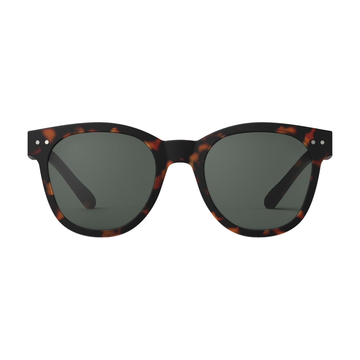 Tortoise Sunglasses Style N