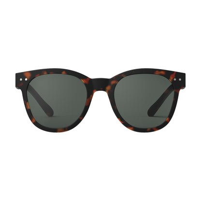 Tortoise Sunglasses Style N