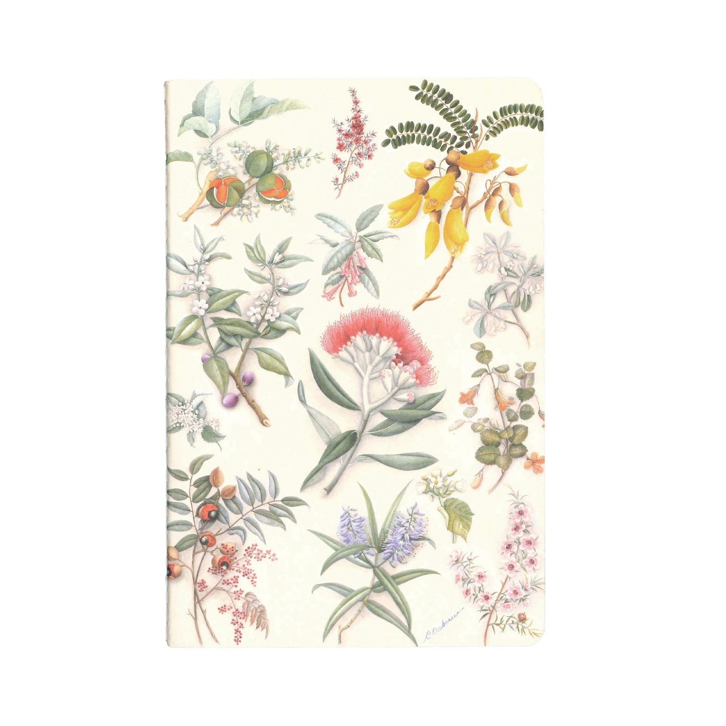 Fanny Osborne Botanical Notebook