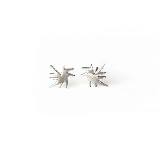 Silver Star Earrings