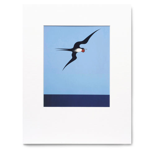 Pacific Frigate Bird Print