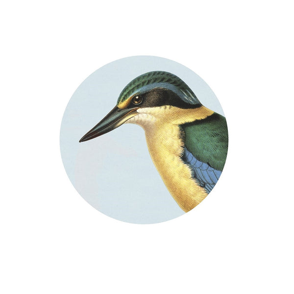 Native Bird Coasters